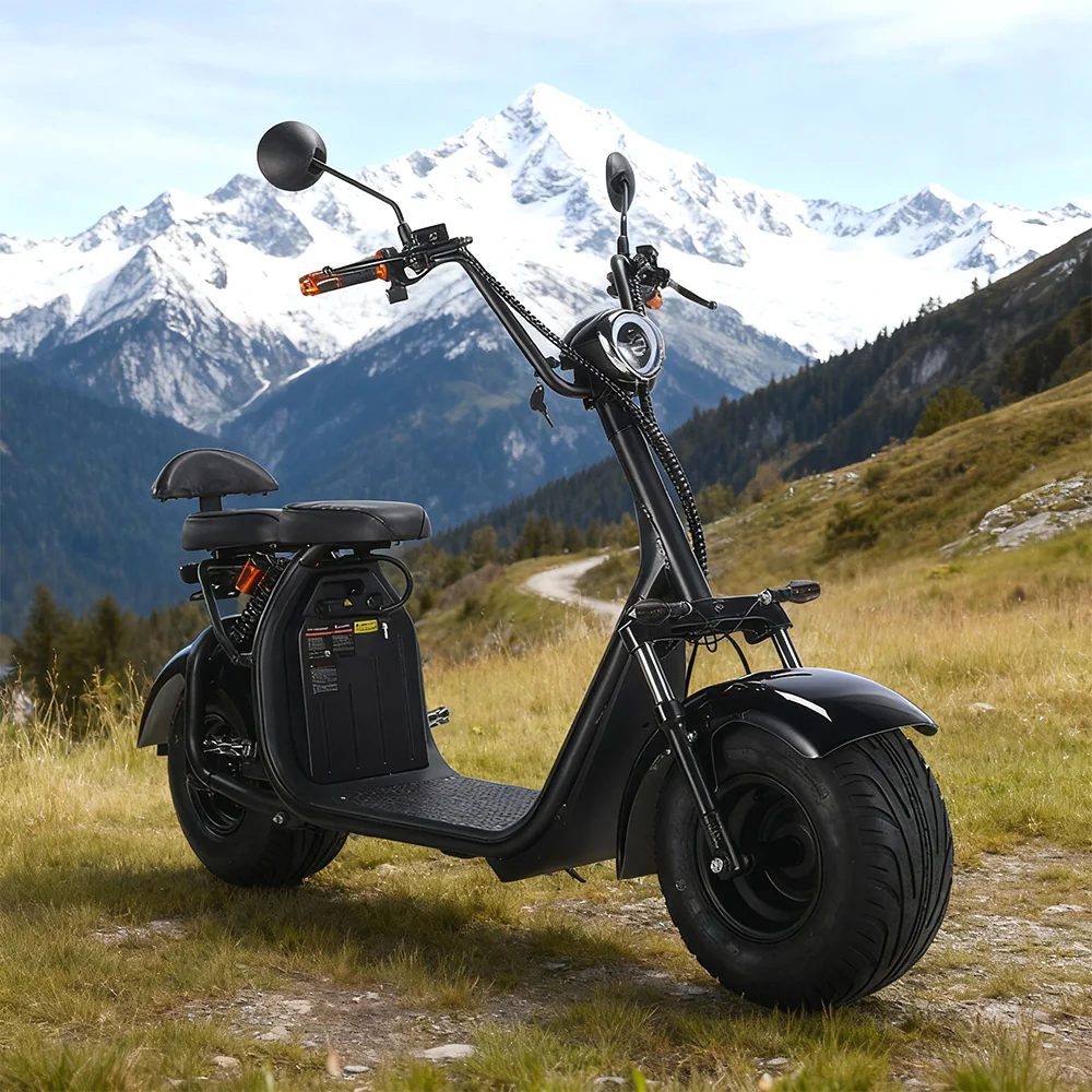 3000W 60V 12Ah Electric Scooter Off Road With Brushless Motor – Retro Style, Dual Seat, Hydraulic Disc Brakes