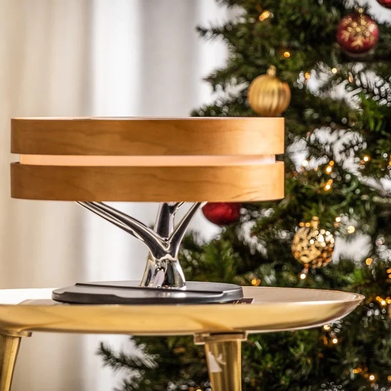 Circle of Life Lamp