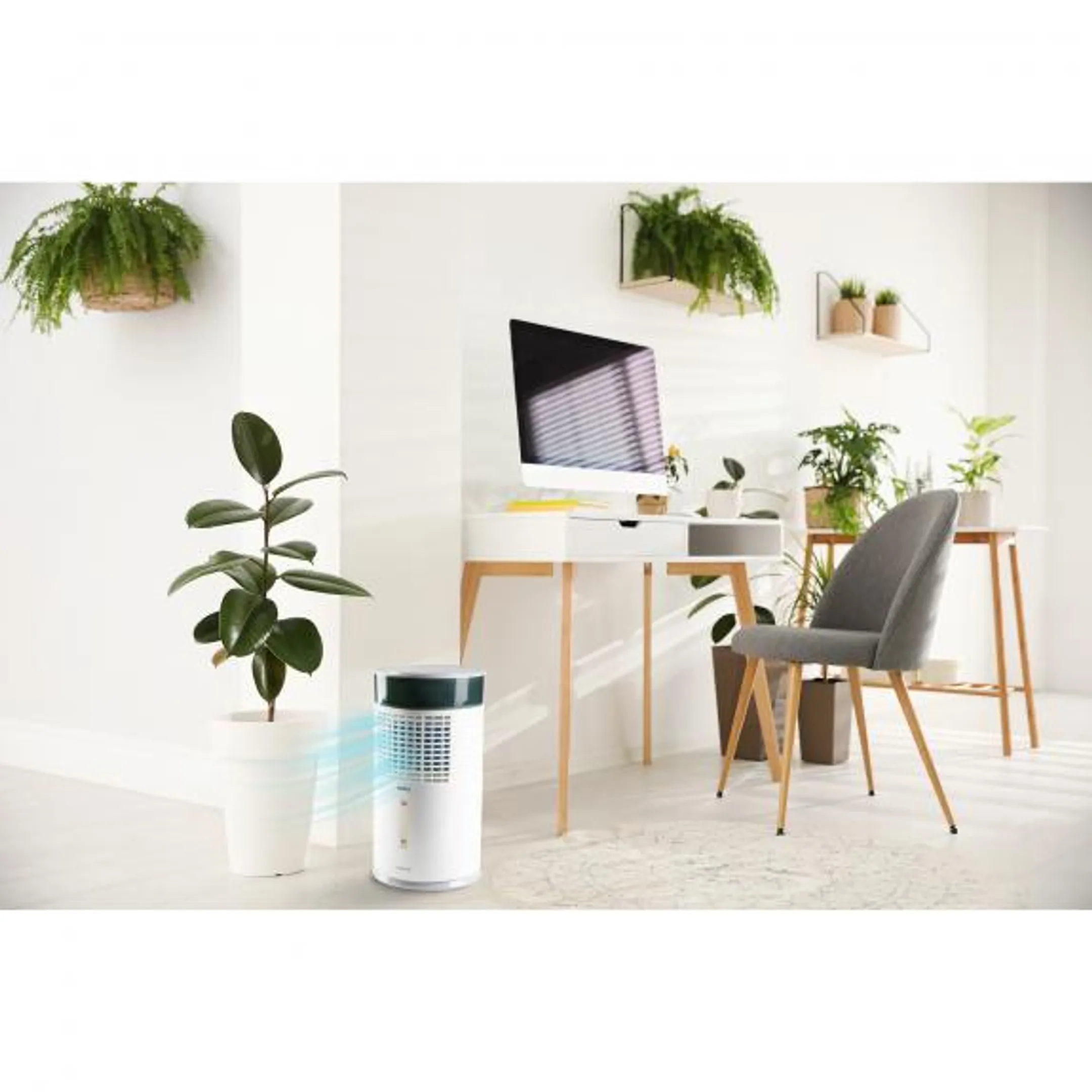 Domo Aircooler DO159A