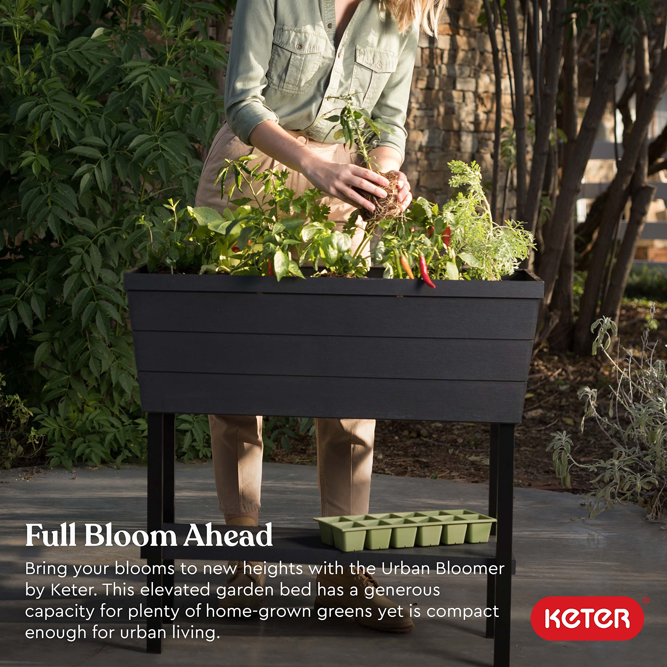 Keter Bloomer Jardinera Plástica Elevada en Grafito