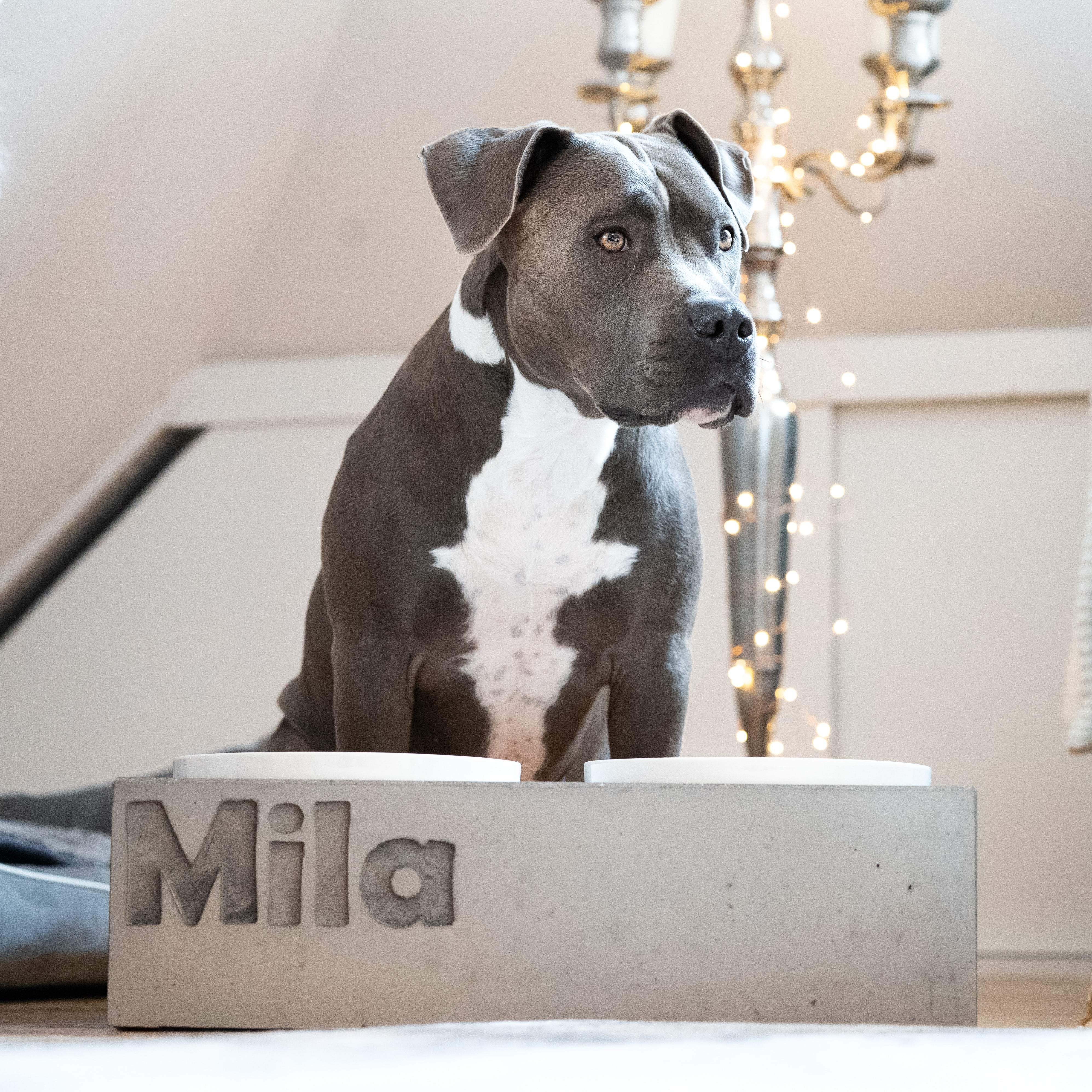 Futterstation Hund PATERA DUO Personalisiert