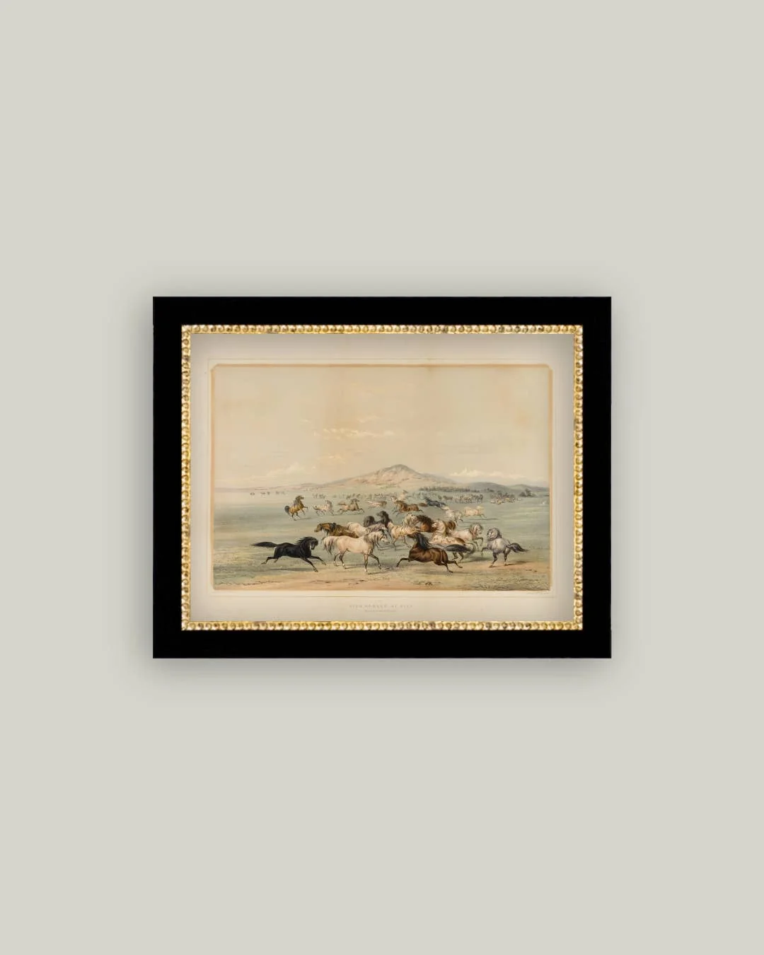 Field Of Horses Framed Antique Inspired Art