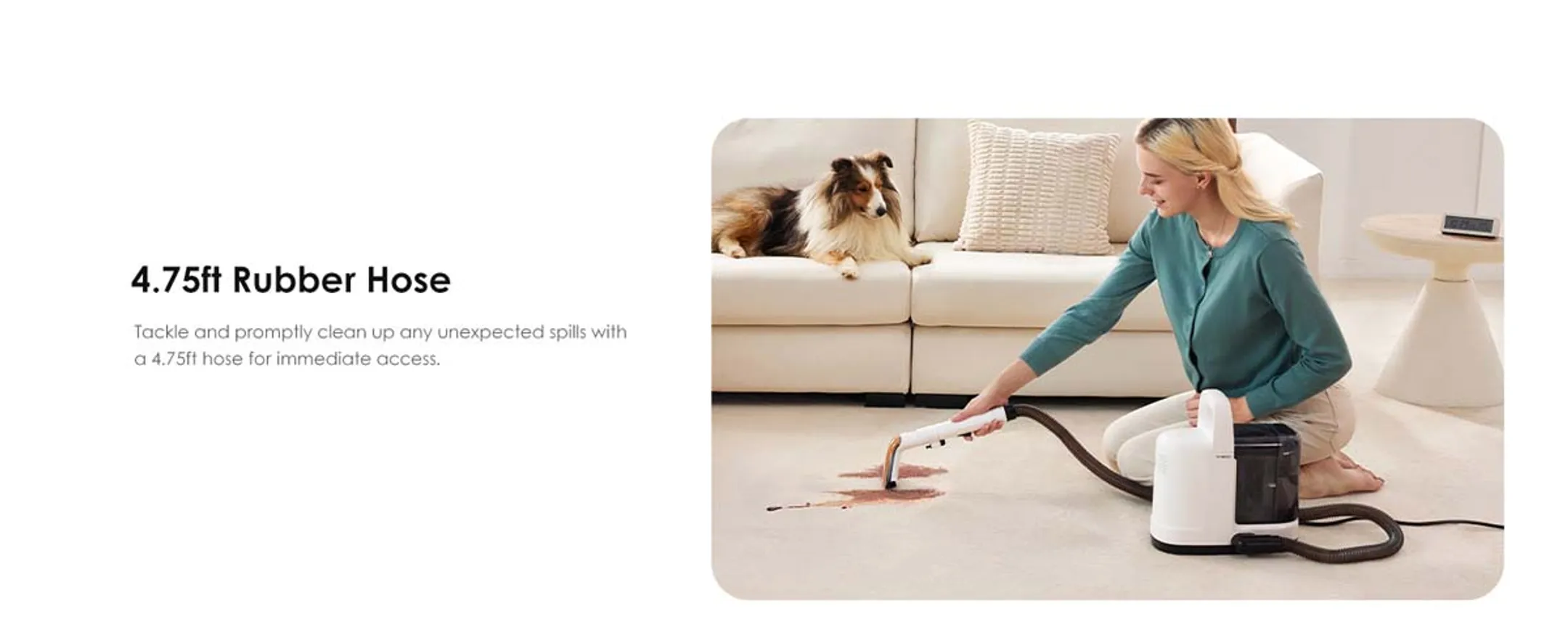 TINECO Tapijtreiniger iCarpet Spot