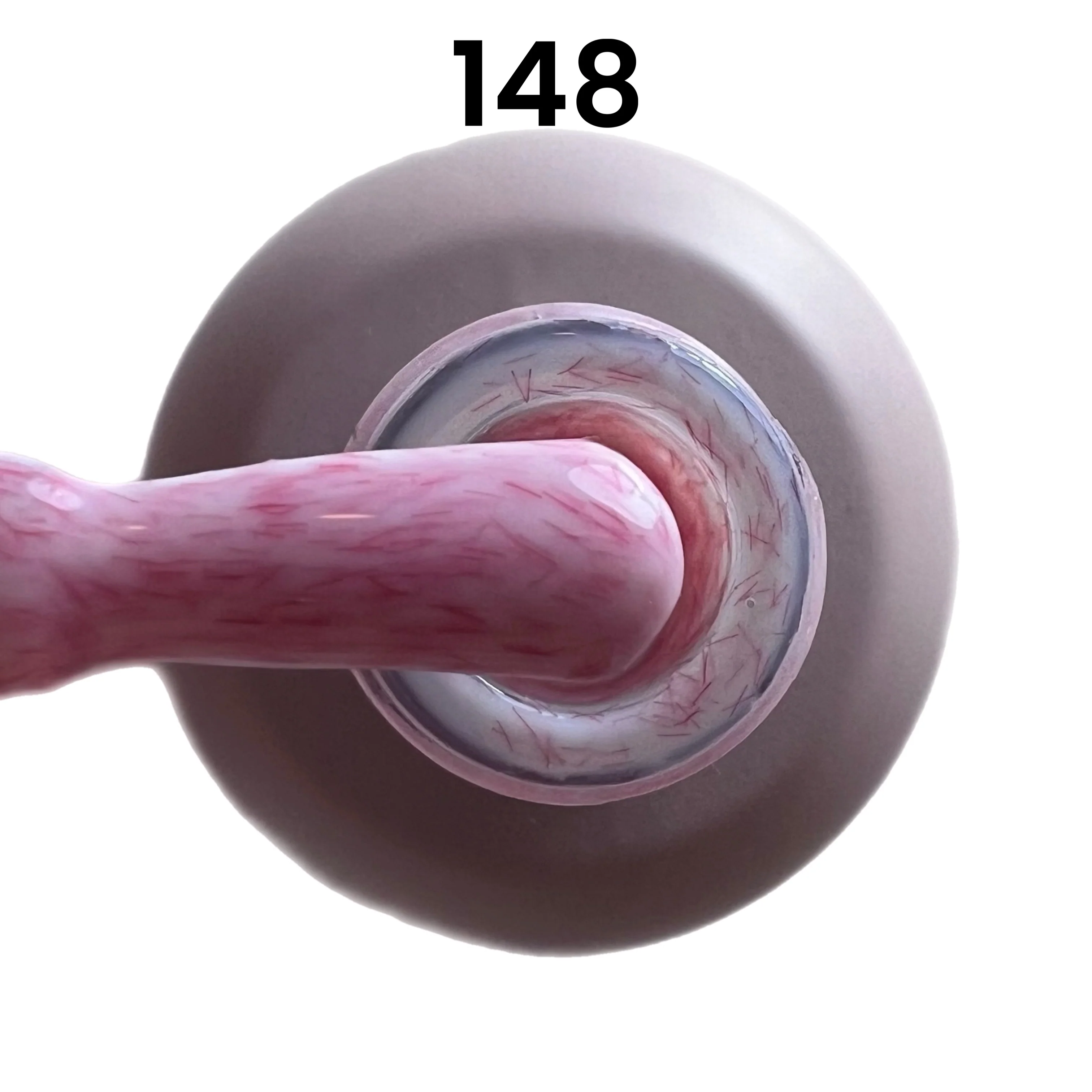 ????? ?? 148 ???? ??????