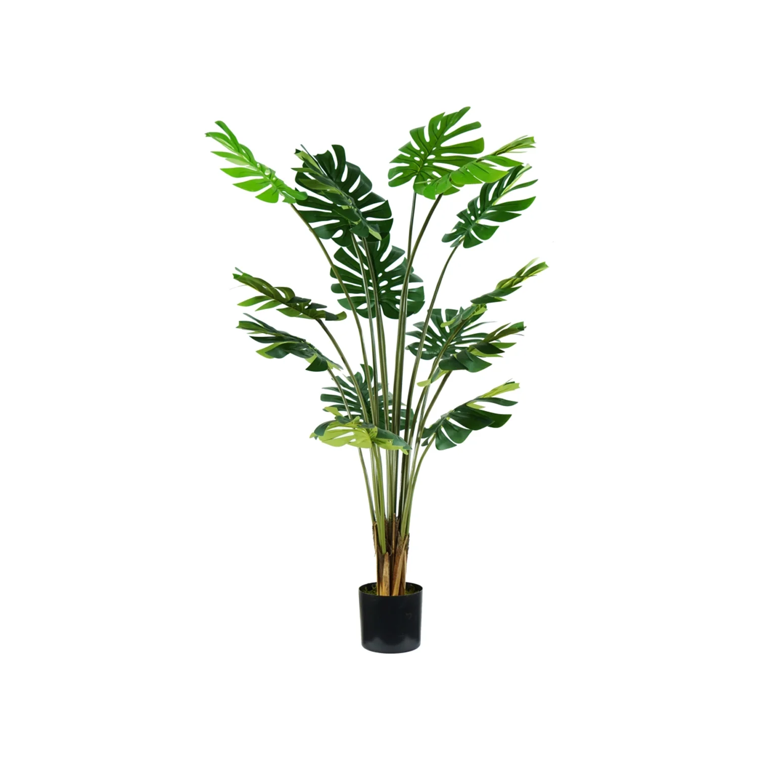 Pianta Monstera In Polietilene Con 16 Foglie E Vaso Con Muschio 170cm