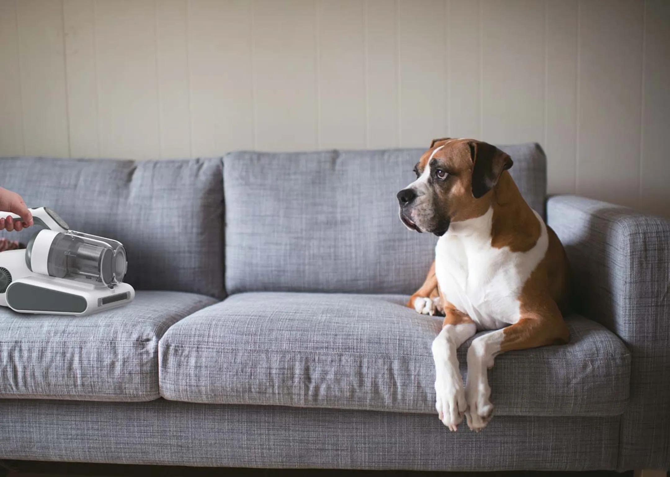 Hoover Matraszuigers HMC5