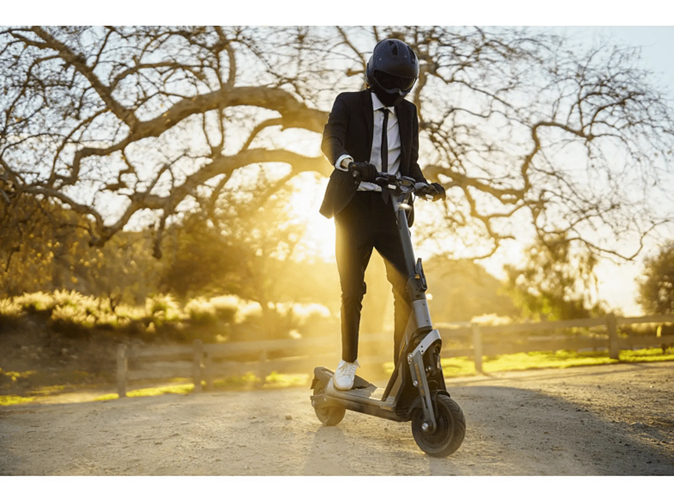 Segway KickScooter GT2P