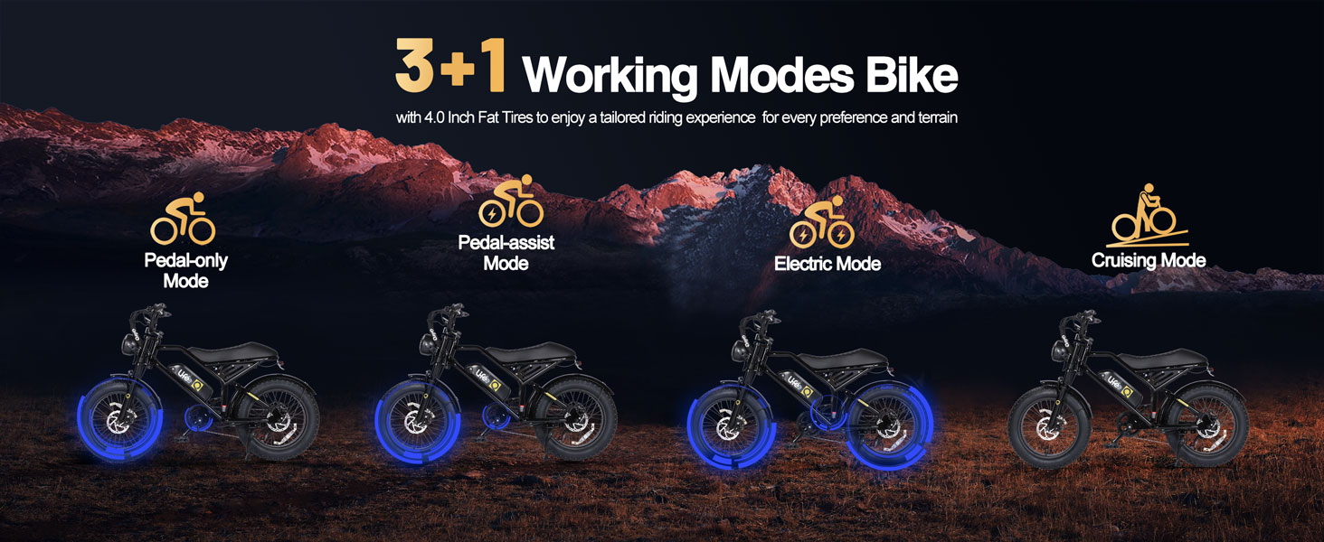 Qlife Spark Electric Bike