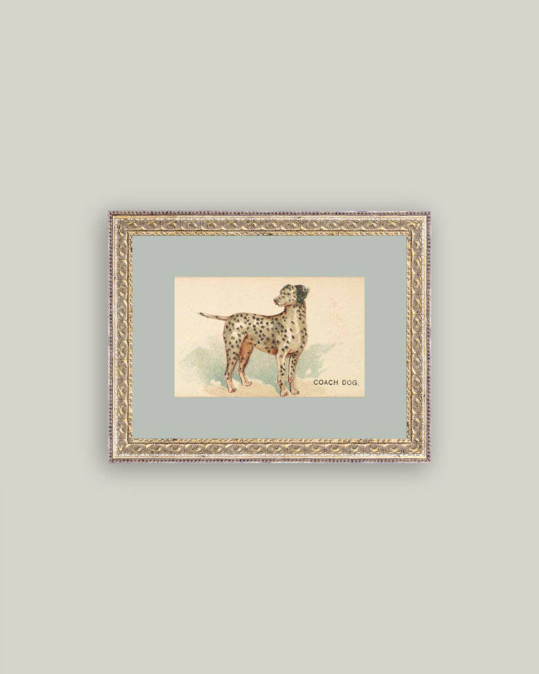 Dalmation Framed Antique Inspired Art