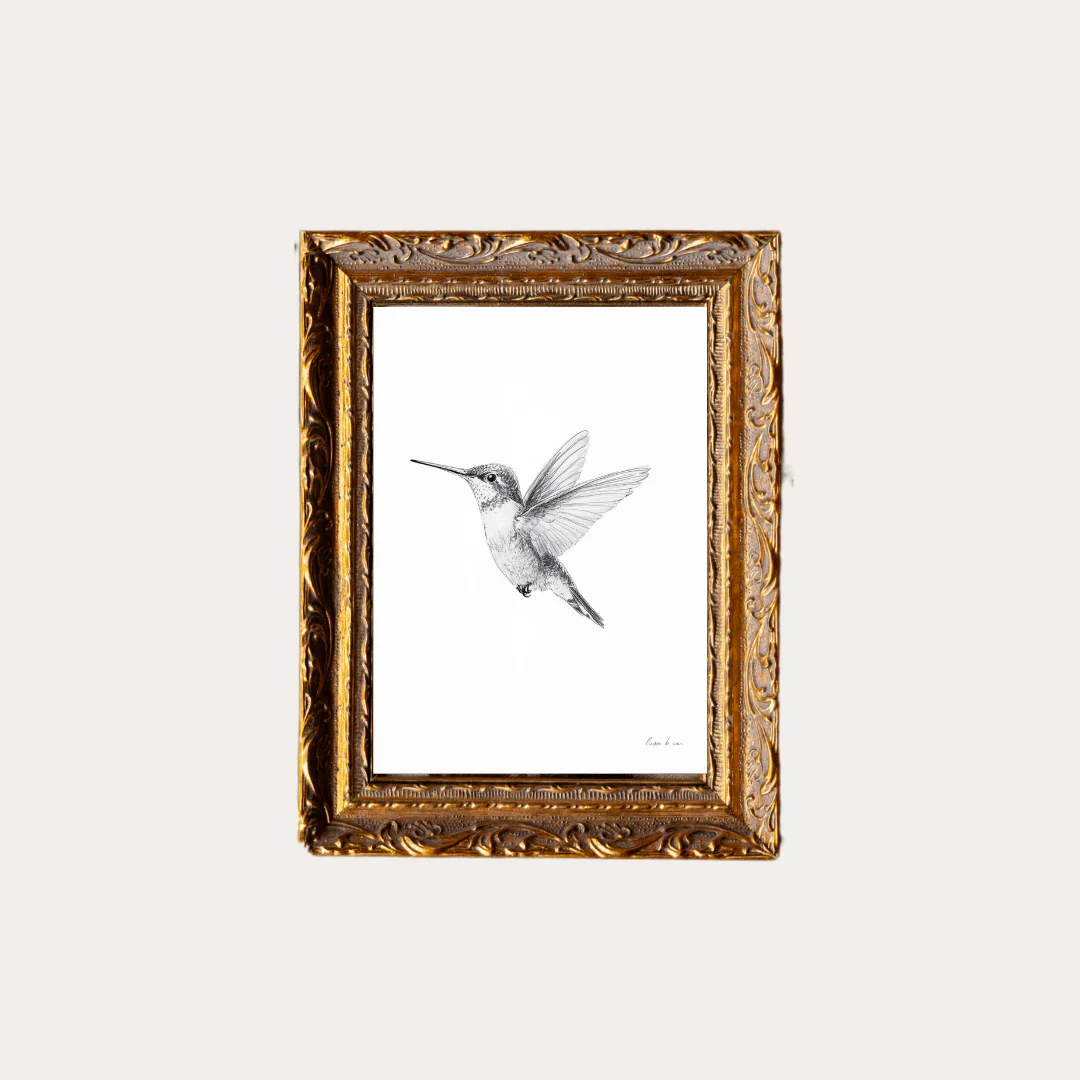 Hummingbird Sketch | French Brass Inspired Gold Mould Framed Art