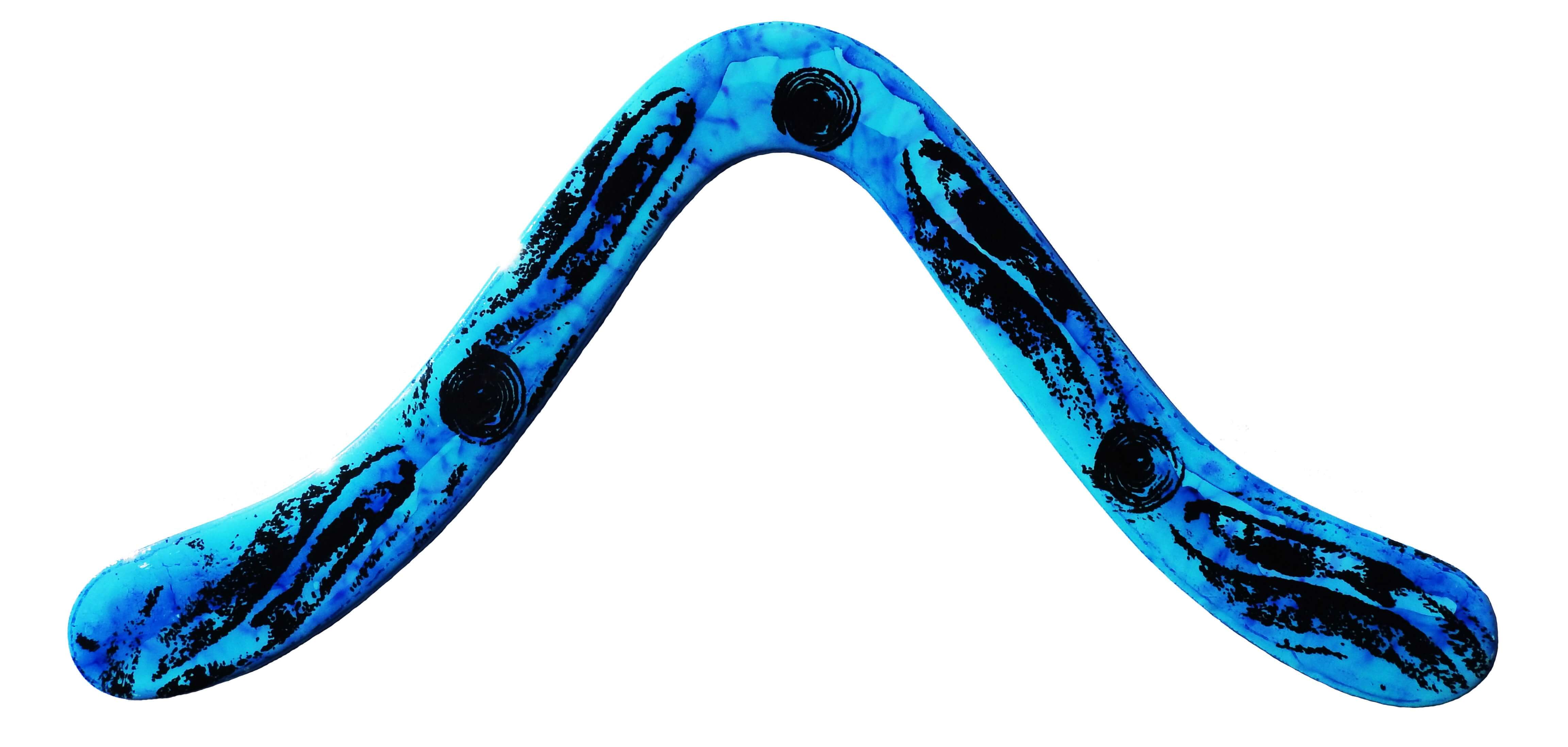 Technic Malibu Boomerang - Molded Carbon Fiber / Plastic Composite Boomerangs!