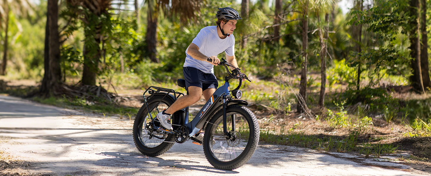 ebikes