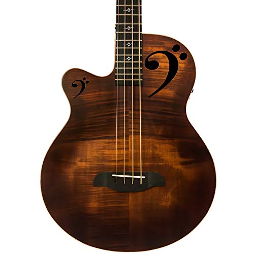 Sawtooth Signature Fretless Acoustic Electric Guitar