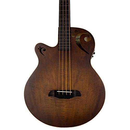 Sawtooth Signature Fretless Acoustic Electric Guitar