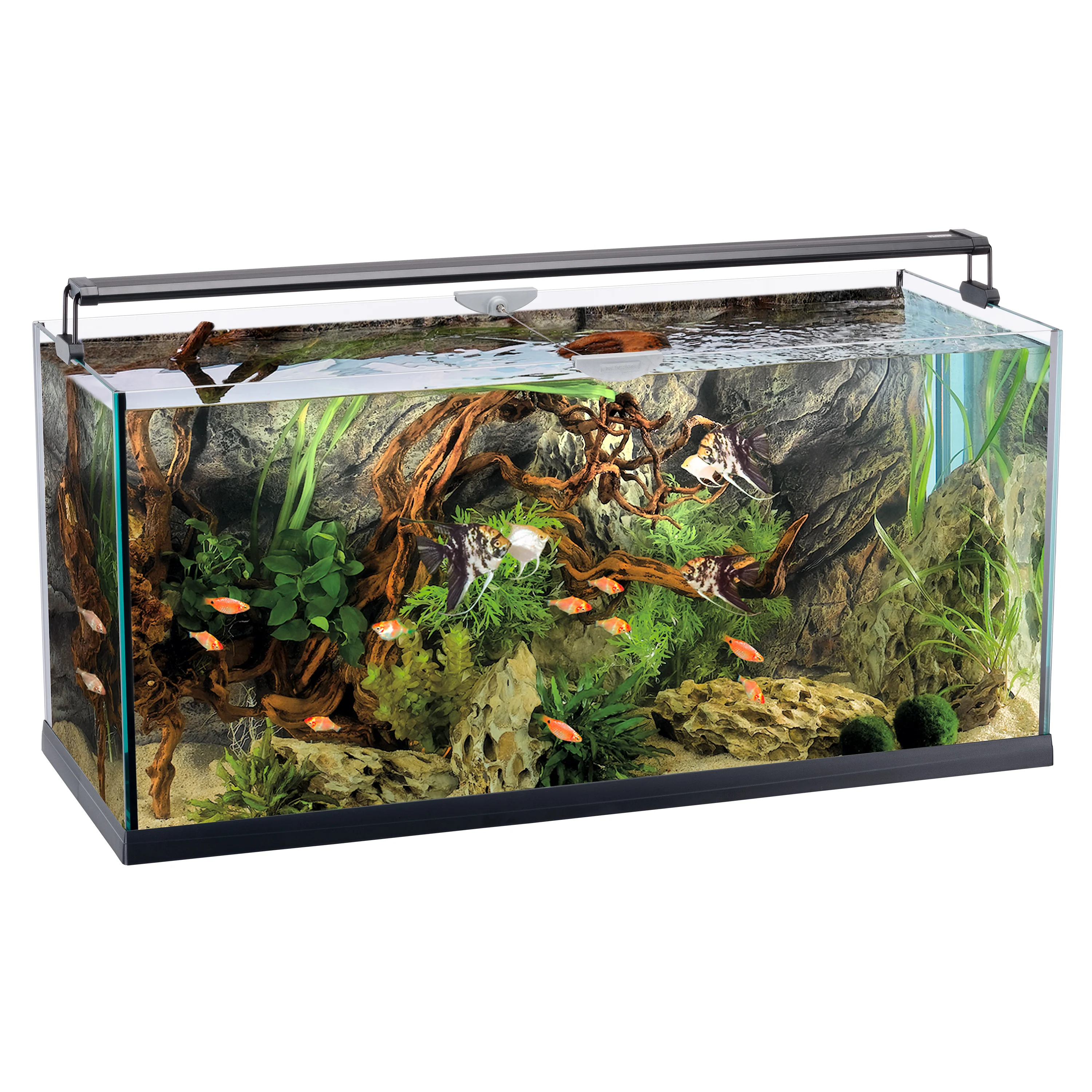ELBA 110 Acquario da 230 Litri – Design Elegante con Illuminazione LED Integrata e Sistema di Filtrazione Avanzato