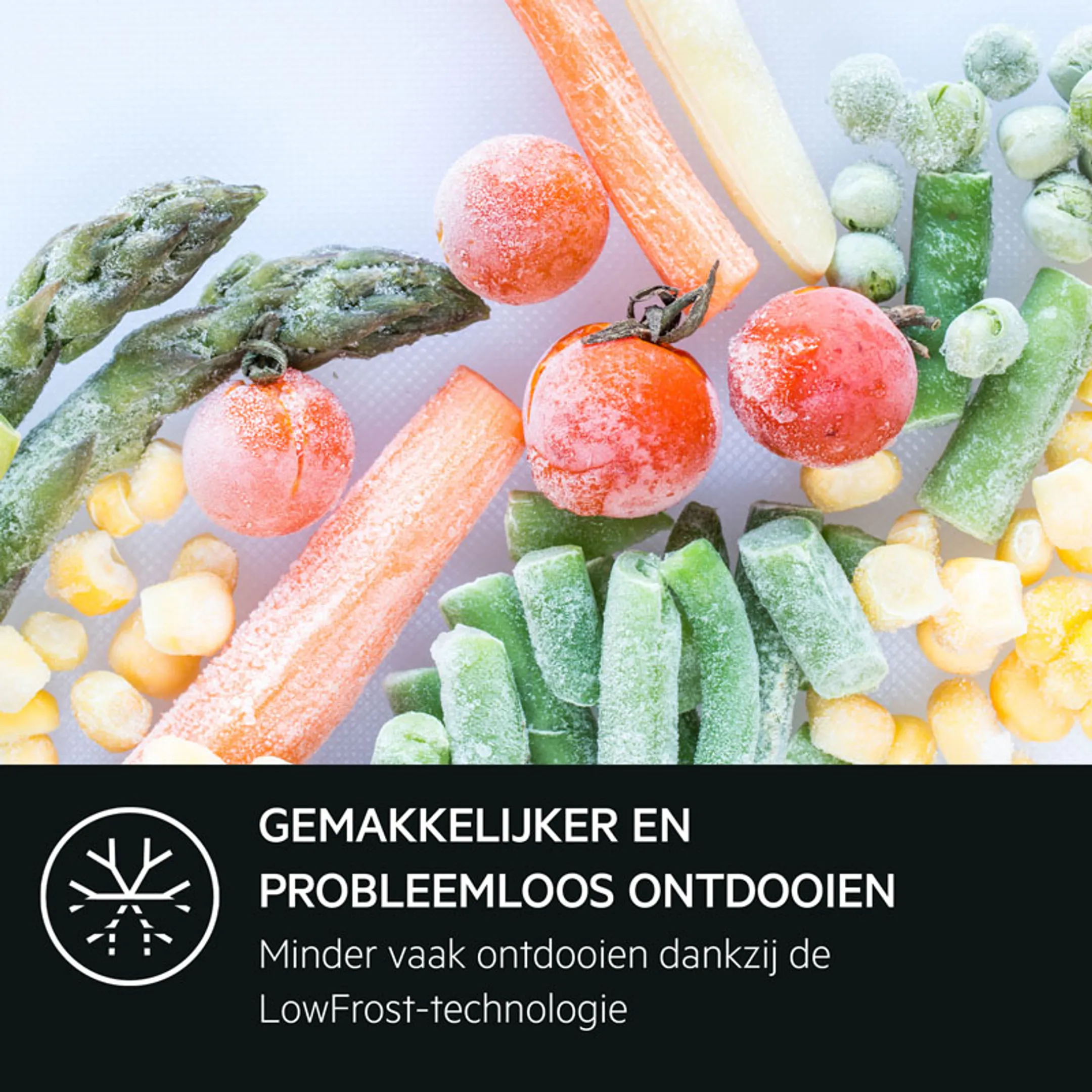 AEG Koelkast met diepvries RDB428E1AX LowFrost