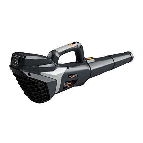 Alpina Soffiatore a Batteria ABL 20 Li Kit, per un Giardino Pulito e in Ordine, Batteria 20V (4 Ah), 280 W,Tubo Rimovibile Salvaspazio, Batteria e Caricabatteria incl. : Amazon.it: Giardino e giardinaggio