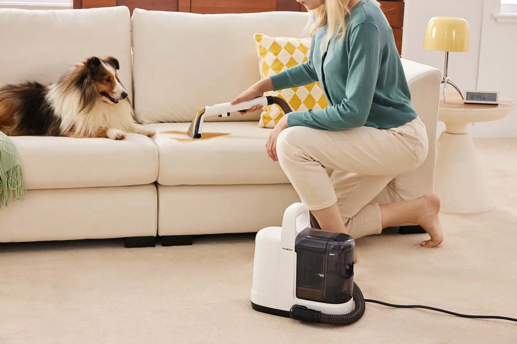 TINECO Tapijtreiniger iCarpet Spot