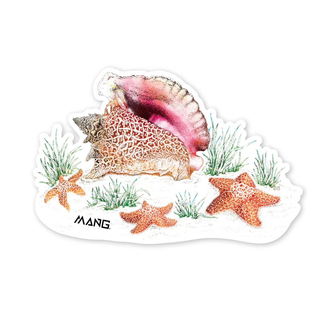Conch MANG - Sticker
