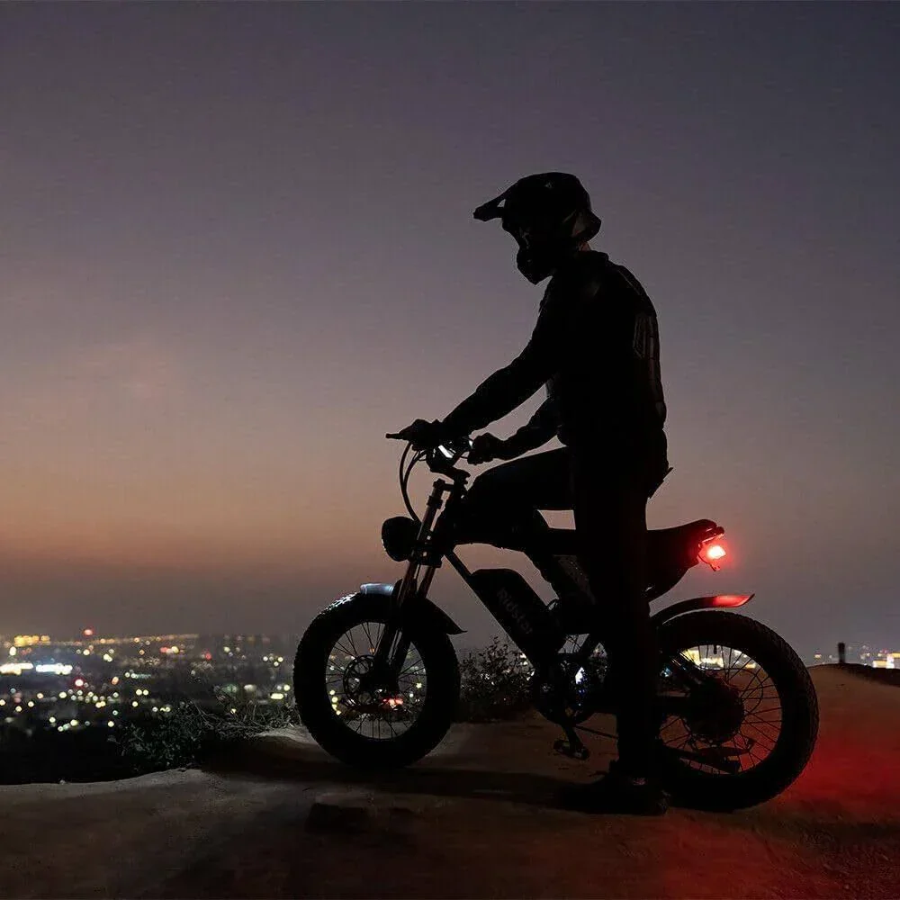 Dual Motor Electric Bike Q20PRO 2000W 52V 40Ah
