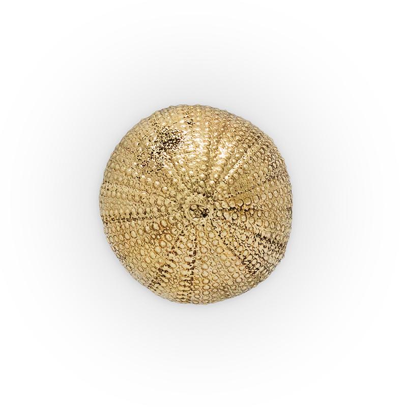 Urchin Drawer Handle