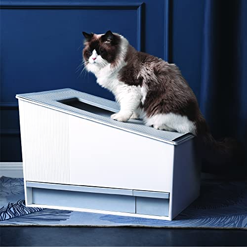 HONEY CARE Lettiera autopulente per gatti, lettiera automatica per più gatti, con APP e sistema vocale Alexa Smart Secure Control, bianco opaco : Amazon.it: Prodotti per animali domestici