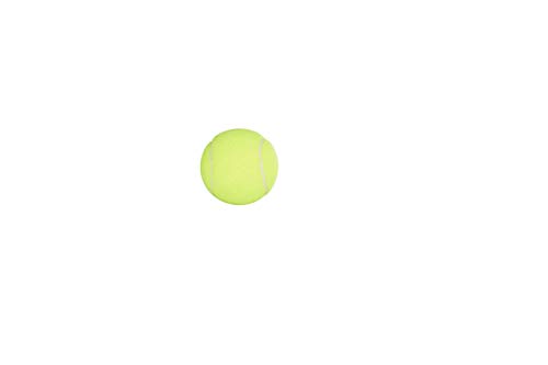 Penn Championship Tennis Feltro pressurizzato