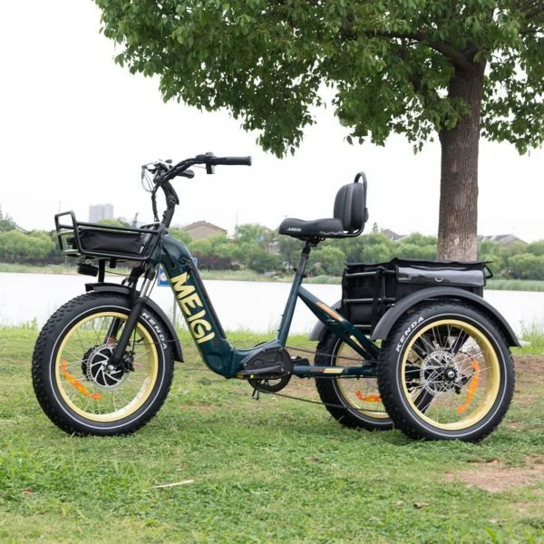 SILVERADO 20 48V/14AH 750W Folding Electric Tricycle with Wide Tires, 150 kg (96817362)