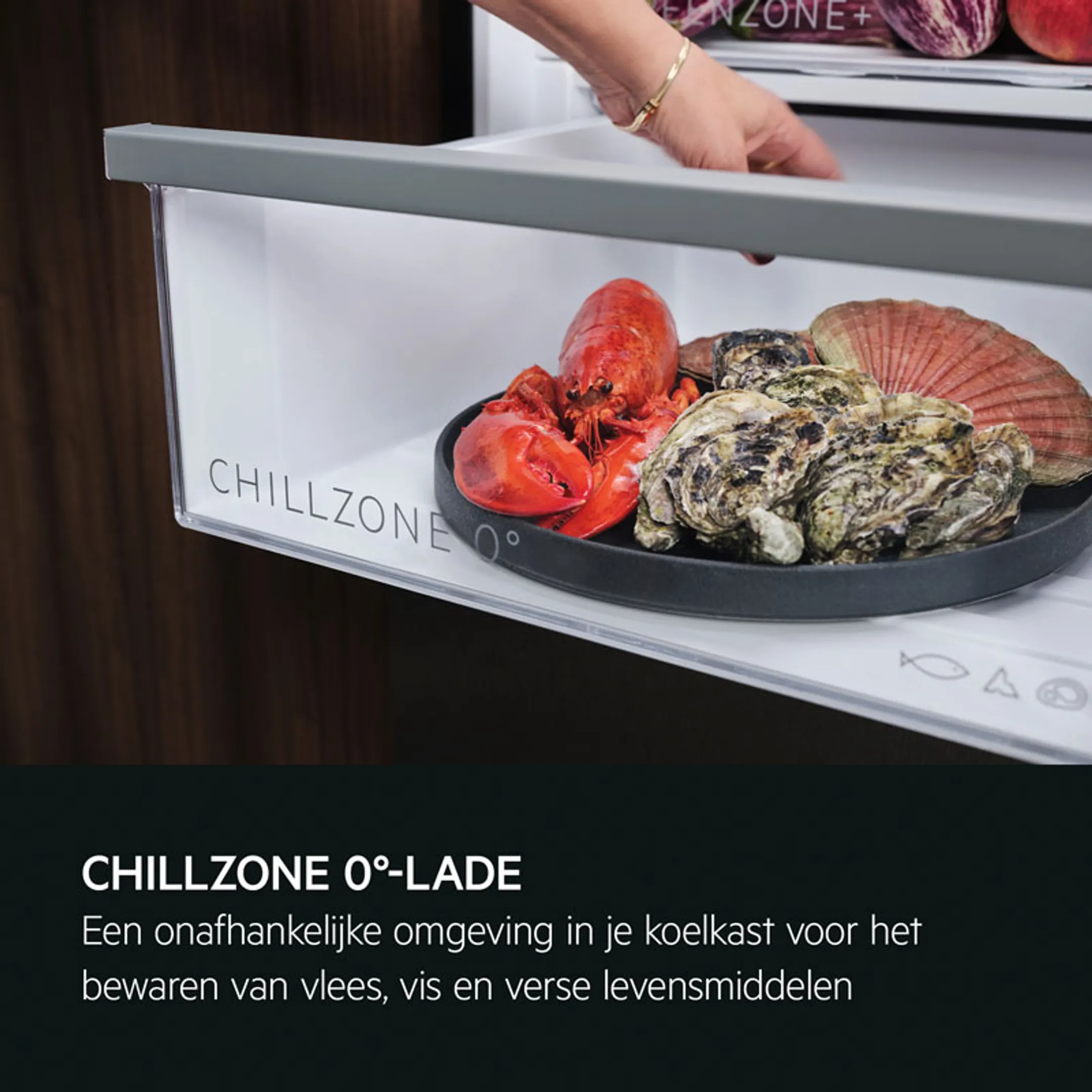 AEG Amerikaanse koelkast RMB952D6VU