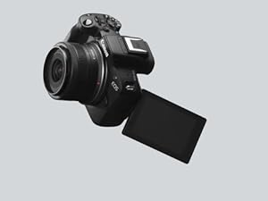 Pasted Image
