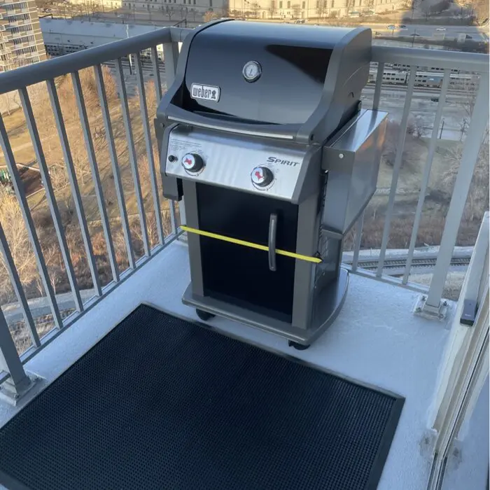 Weber Griddles E-210 2-Burner Propane Gas Grill with Cabinet