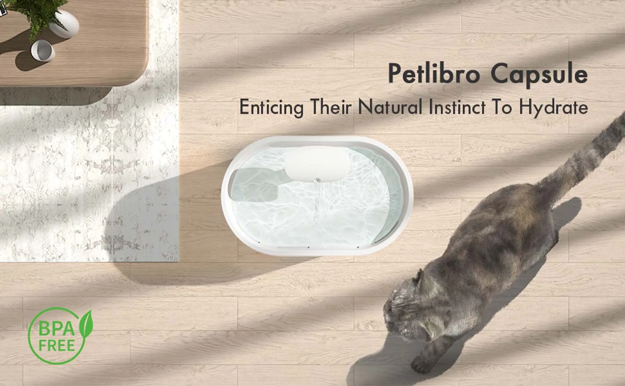 PETLIBRO Waterfontein CAPSULE
