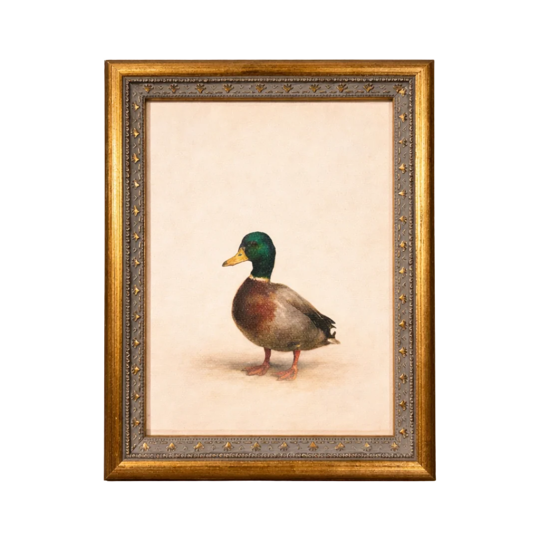 Common Loon | Antique Inspired Brass Mould Framed Art