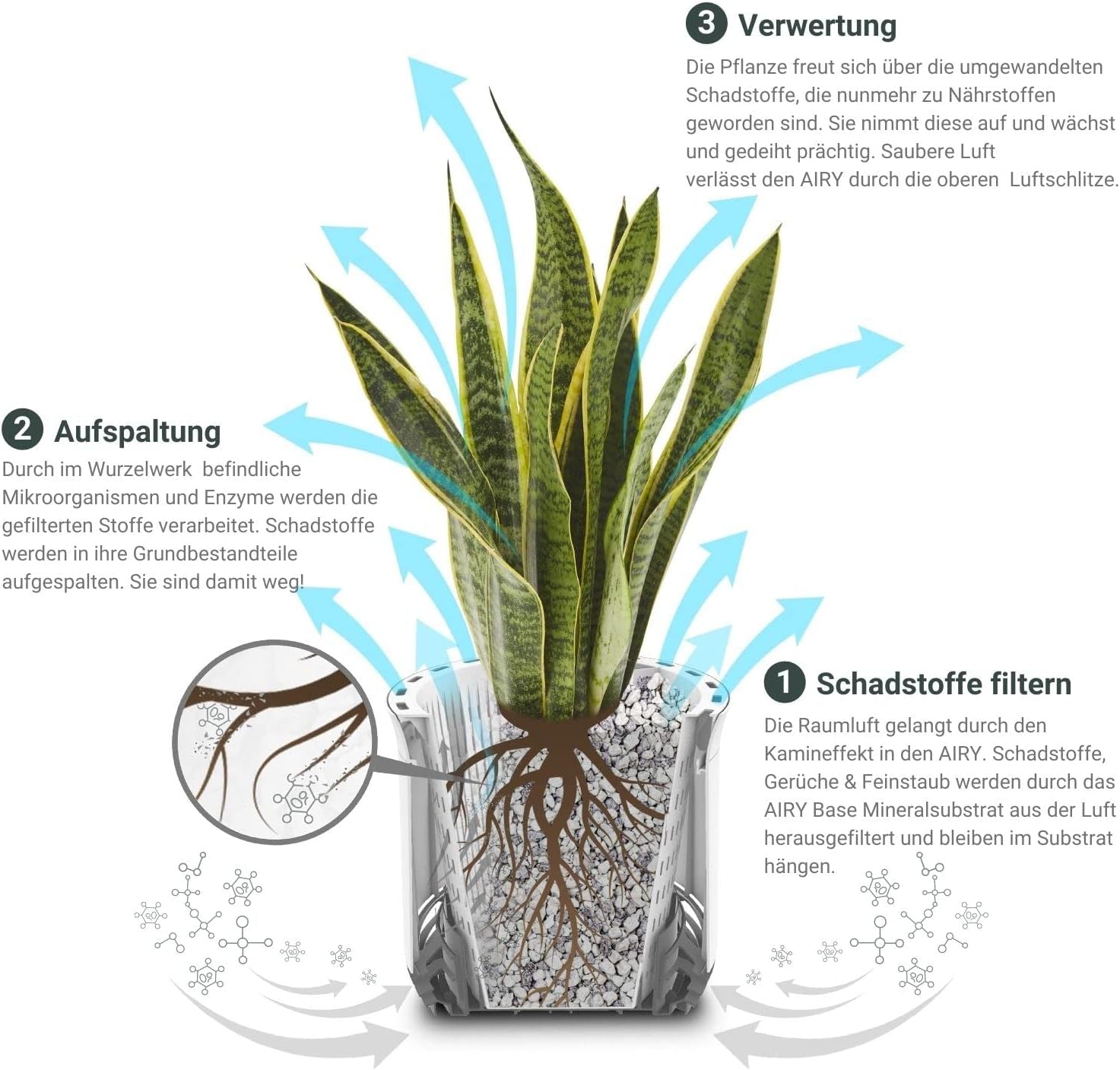 AIRY Luftreiniger System S inkl. Bogenhanf & 3-Liter Airy Base • Natürlicher Luftfilter beseitigt Schadstoffe, Allergene & Gerüche • Ideal für Räume mit ca. 10qm • 1317-613 anthrazit-grau