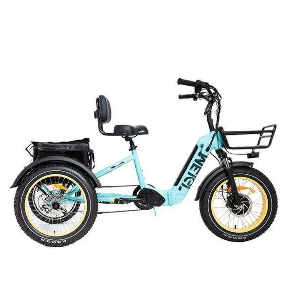 20 48V/14AH 750W összecsukható kövérkerekű elektromos tricikli, 150 kg teherbírás