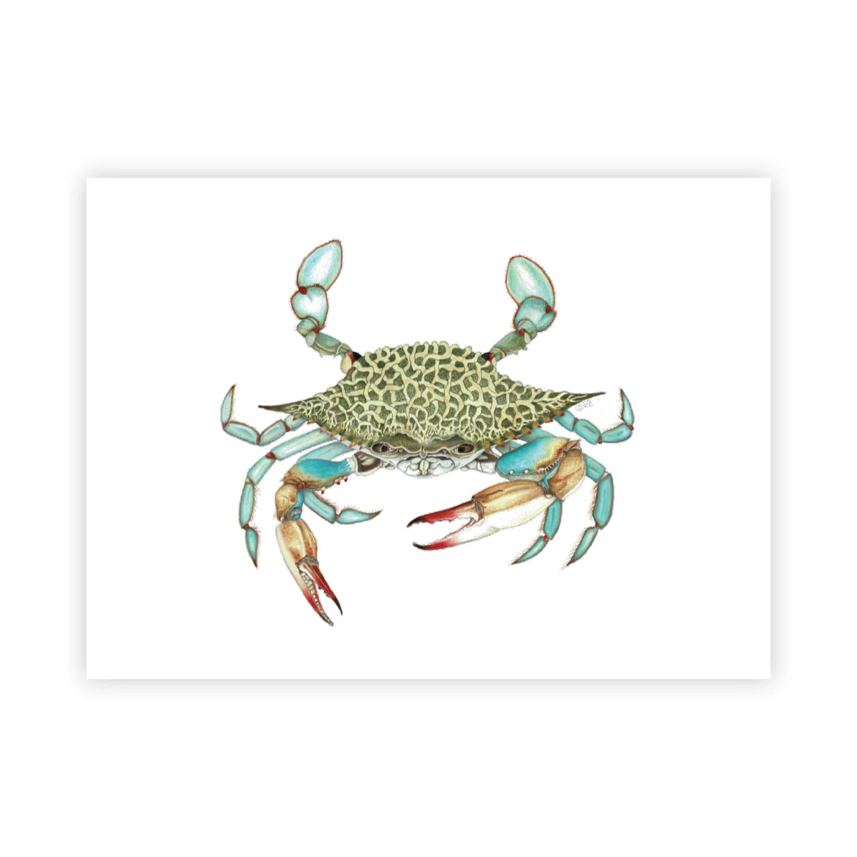 Blue Crab - Signed Art Print (Limited Edition)