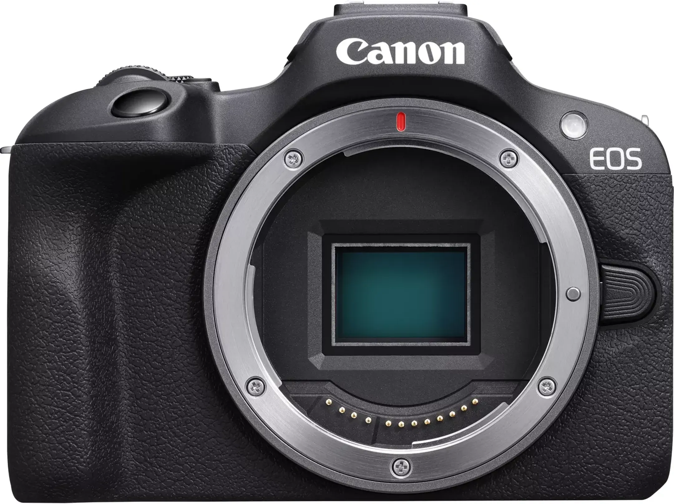 Canon EOS R100 + RF-S 18-45 mm f/4.5 - 6.3 IS STM
