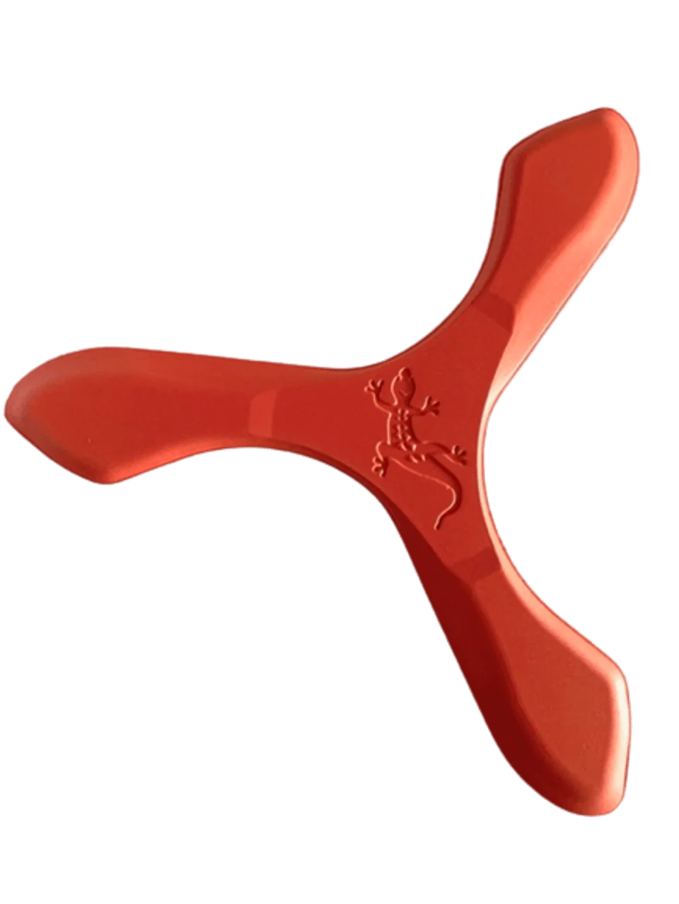 Iguana Boomerangs - Soft Foam Boomerangs for Young Teens!