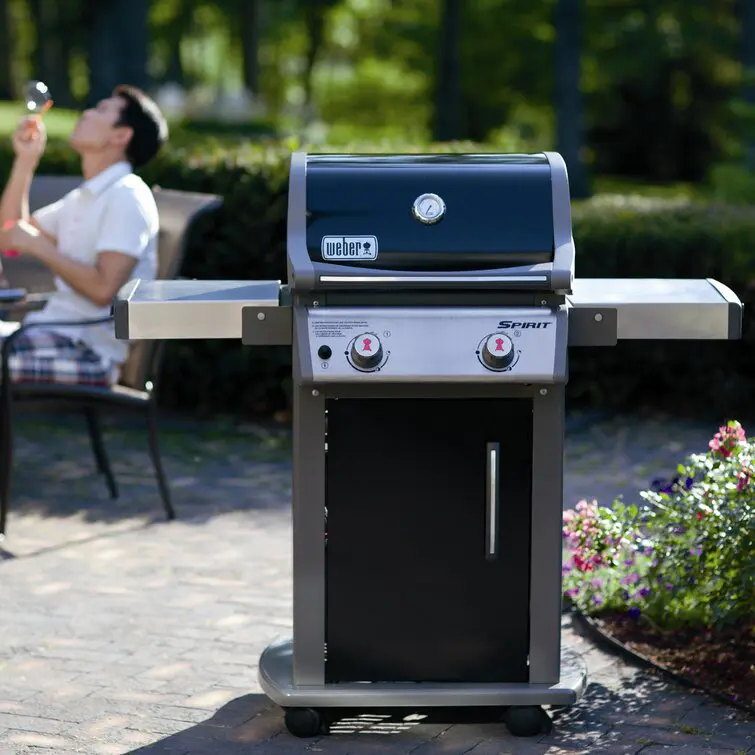 Weber Griddles E-210 2-Burner Propane Gas Grill with Cabinet