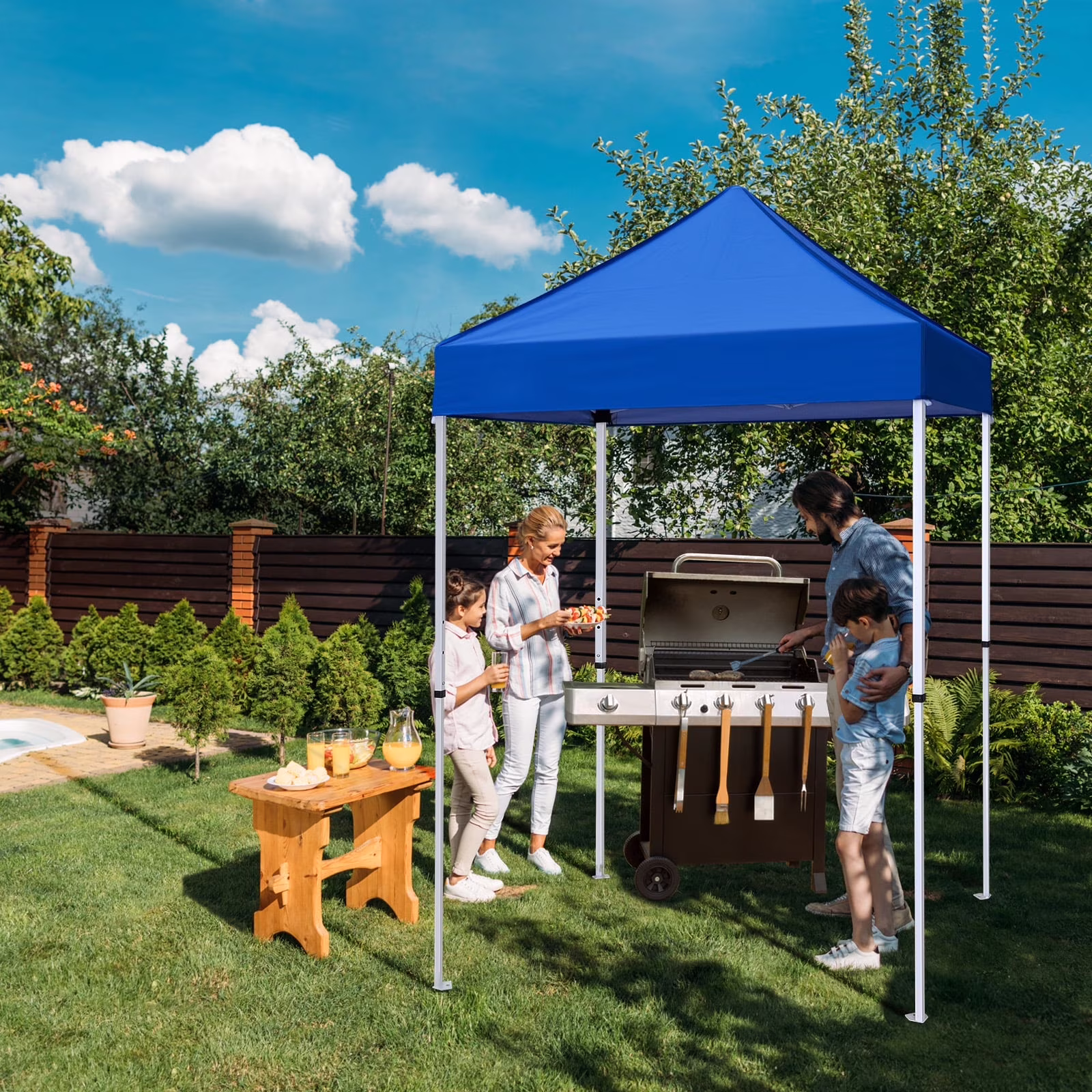 Canopies & Gazebos & Pergolas