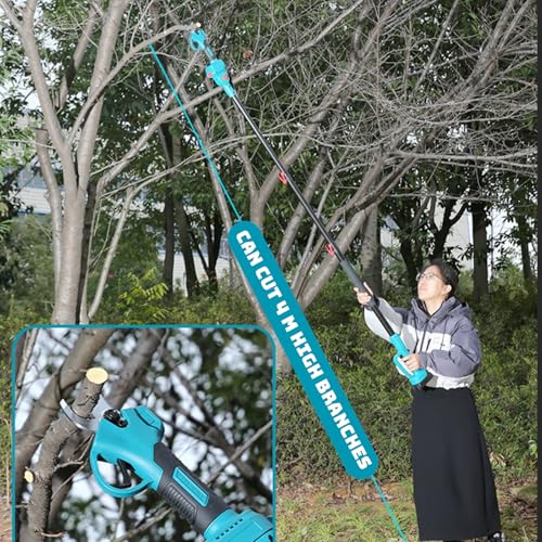 Sega Ad Asta a Batteria 3 in 1, Sega per Rami Alti con Motosega Senza Spazzole, Cesoia da Potatura, Asta Telescopica da 2 M, Batteria e Caricabatterie Inclusi per Potatura di Alberi da Giardino : Amazon.it: Giardino e giardinaggio