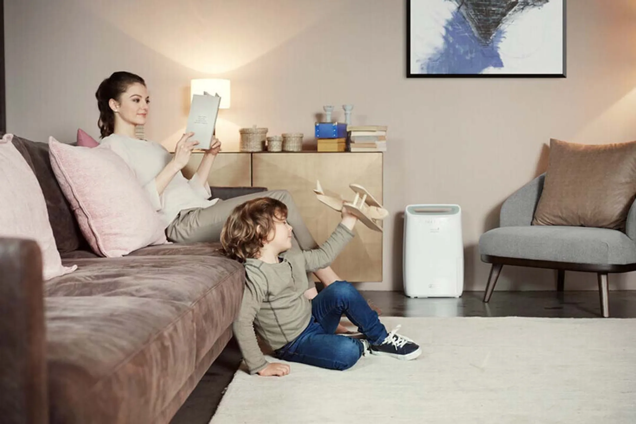 De'Longhi Luchtontvochtiger DEX212SF