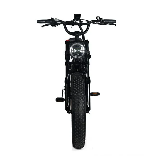 Electric Mountain Bike for Adults | 20 x 4.0 Fat Tires, 1000W Motor, 48V 20Ah Removable Battery, Max Speed 45MPH, Shi Mano 7-Speed for Off-Road Adventures