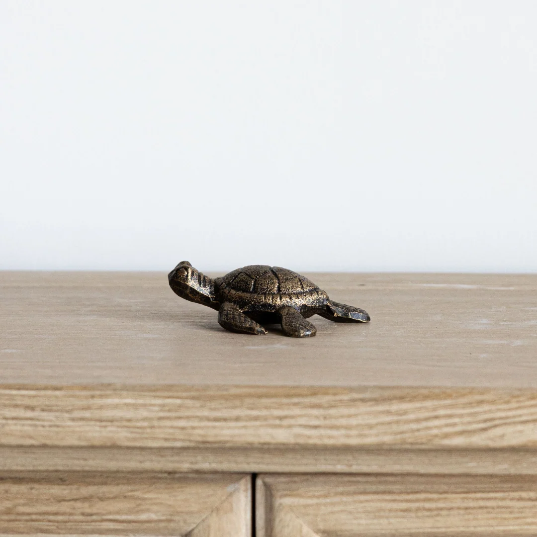 Golden Sea Turtle