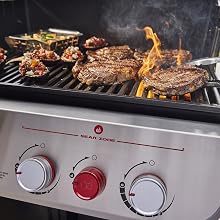 Extra-Large Sear Zone