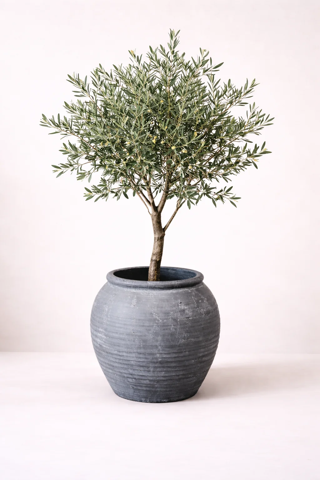 Vintage Inspired Black Line Planter