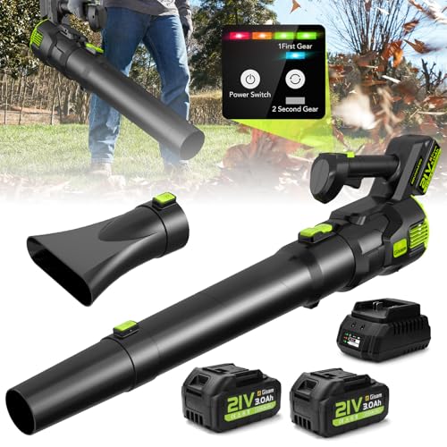Soffiatore Batteria Gisam Elettrico Spazzole