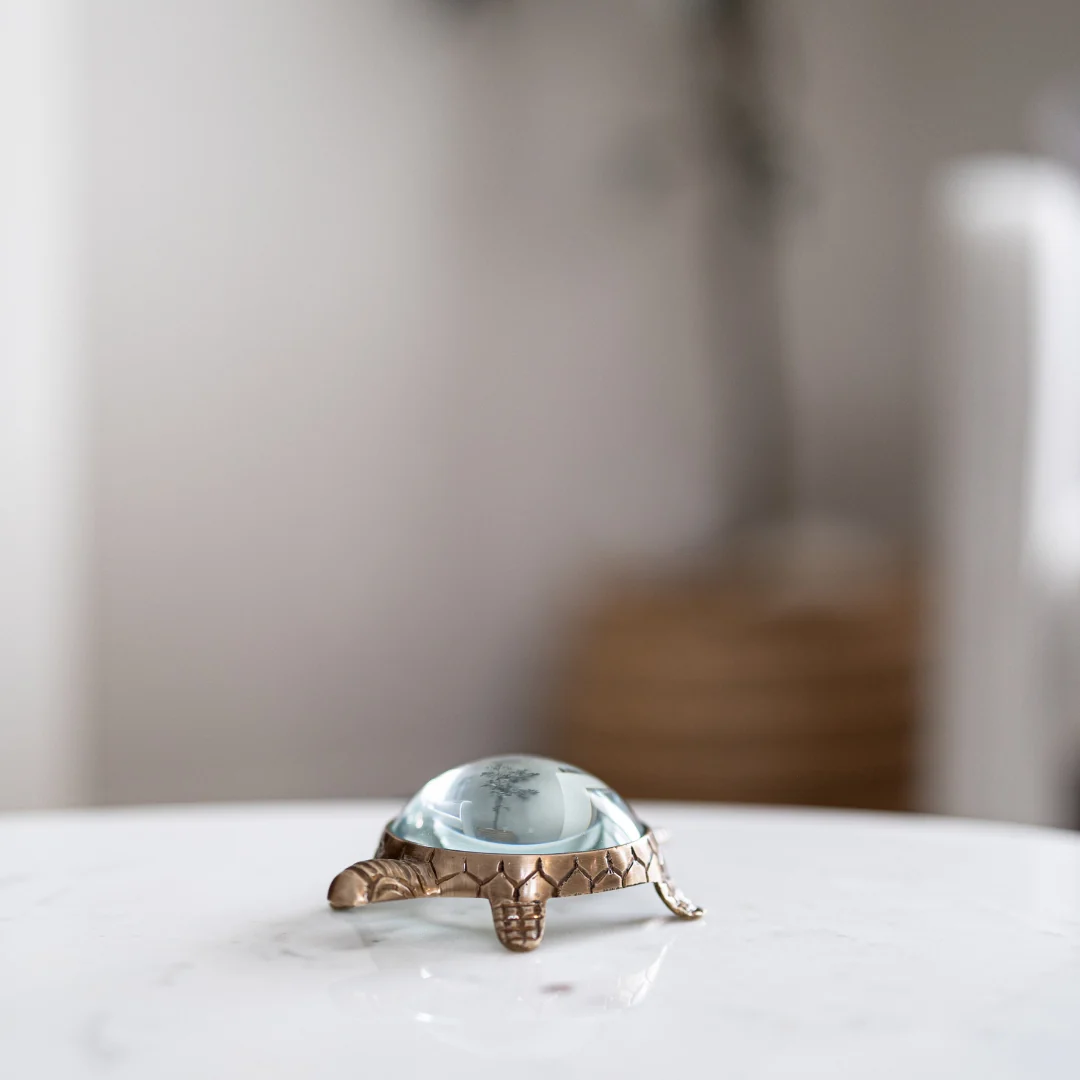 Brass Turtle Magnifying Glass