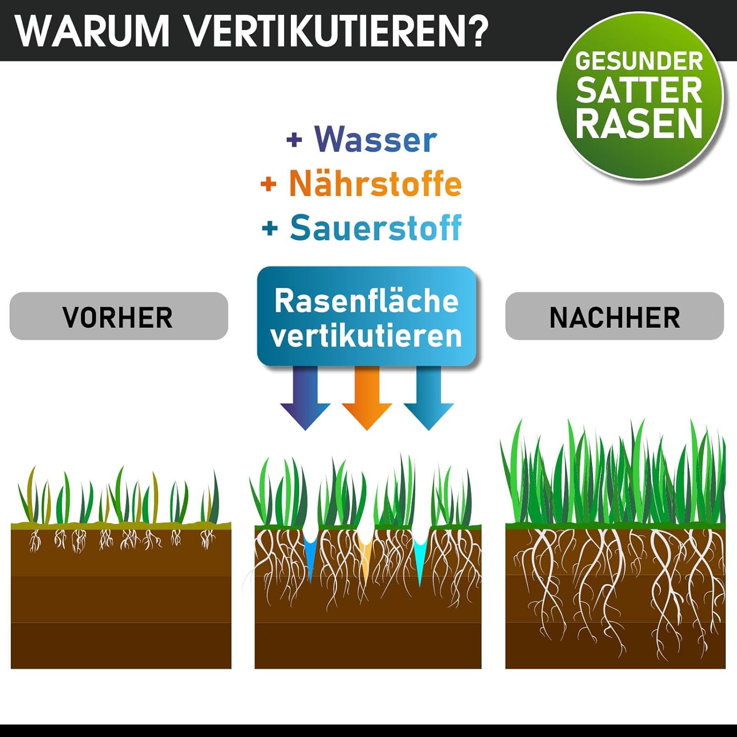 BRAST scarificateur électrique - 1800W largeur de travail 40cm, 2en1 rouleau scarificateur et aérateur, bac 55l - 3 MODÈLES diff. puissances - confortable à manier - scarificateur gazon électrique