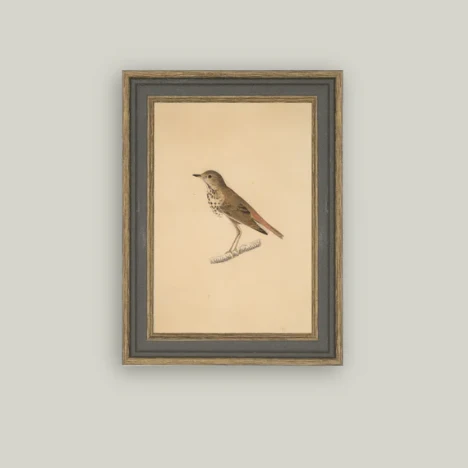 Bird Framed Antique Inspired Art